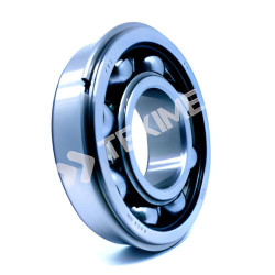 Deep Groove Ball Bearings 6309NR